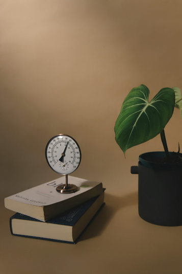 reloj